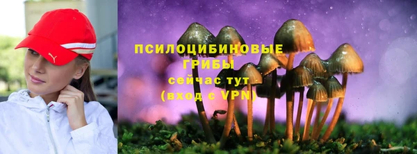 хмурый Медногорск