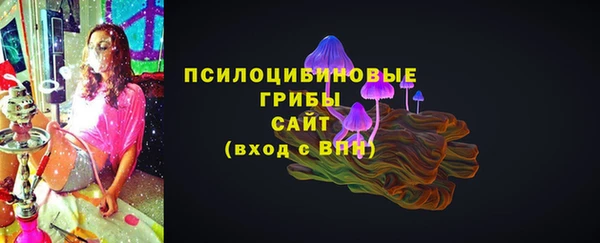 ECSTASY Медвежьегорск