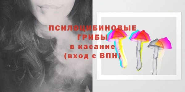 хмурый Медногорск