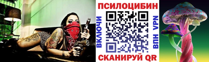 Псилоцибиновые грибы Magic Shrooms  наркота  ссылка на мегу рабочий сайт  Заволжск 